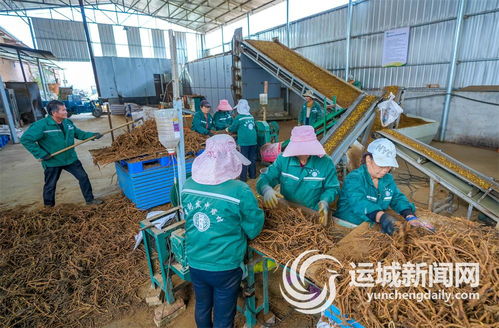 做強做優(yōu)龍頭企業(yè) 持續(xù)壯大產(chǎn)業(yè)集群