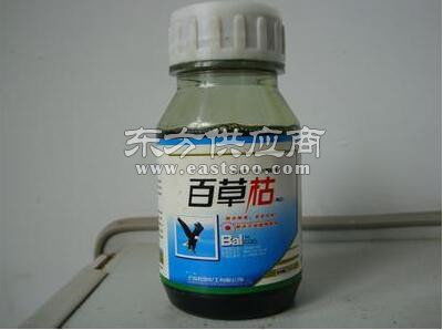 二月藍綠化器材出售與苗木營養(yǎng)杯供應(yīng)商介紹